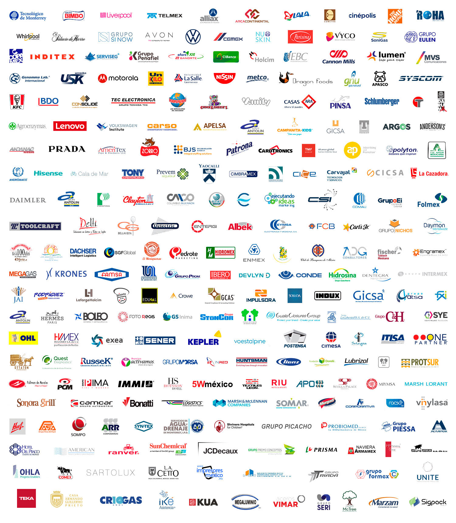+ 500 empresas confían en nosotros